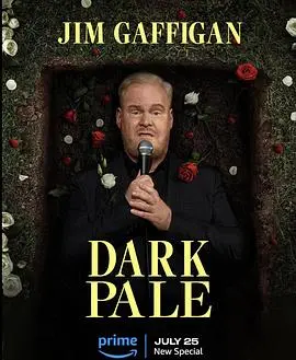 爆笑升级！吉姆·加菲根《深灰》：笑谈家庭、生活与中年危机