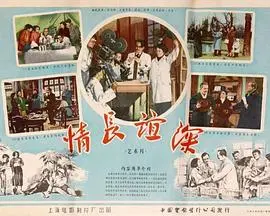 《情长谊深》：那些年错过的心动，是否还在原地等待？细腻描绘青春与成长。